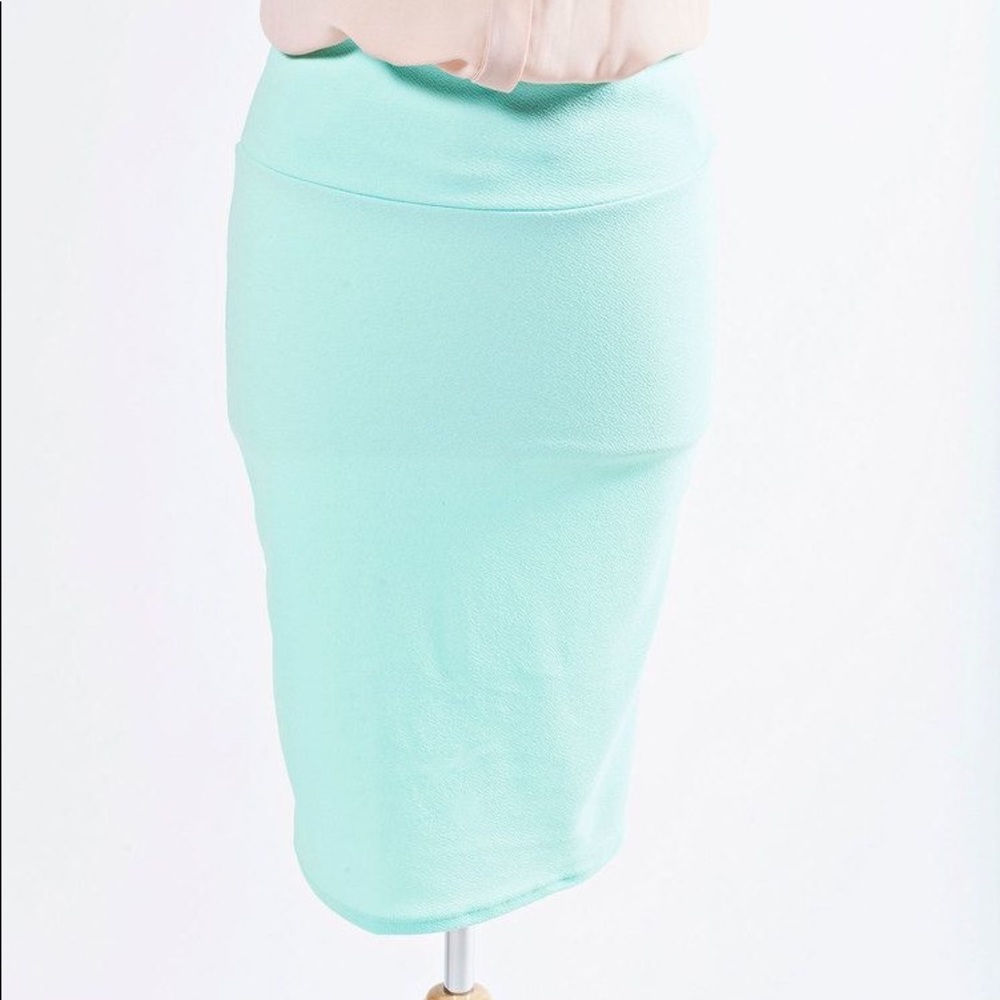 NWOT Lularoe Cassie Skirt